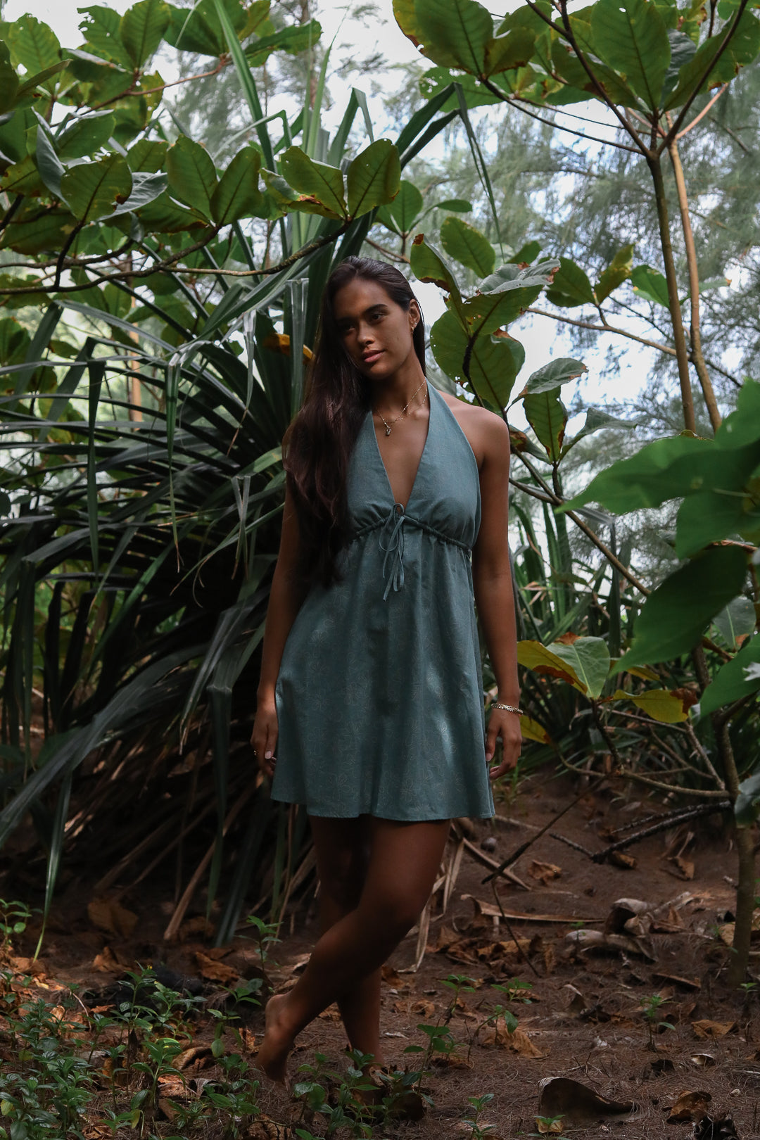 Nadine Dress in Olomana